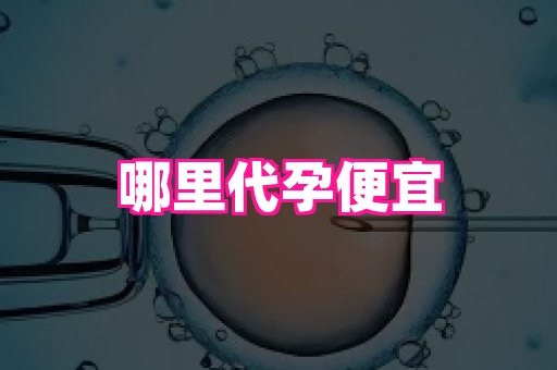 杭州助孕网 1