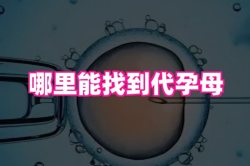 杭州助孕网 1