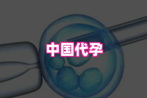 杭州助孕网 3