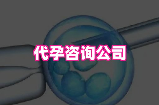 杭州助孕网 3