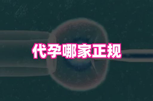 杭州助孕网 4