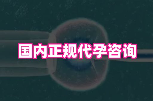 杭州助孕网 4